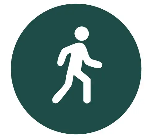 Pedestrian Accidents