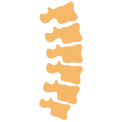 Spinal Cord Injuries 